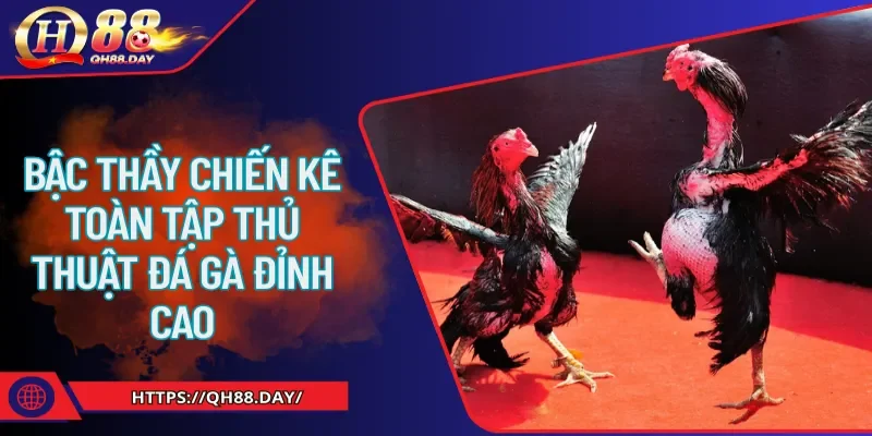 thủ thuật đá gà