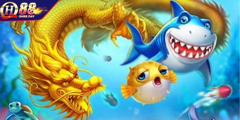 Điểm đặc sắc làm nên sức hút