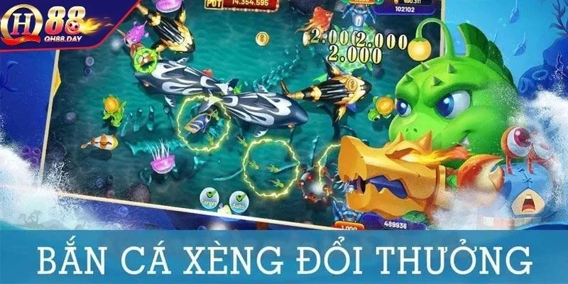 Luật săn cá xèng dễ hiệu