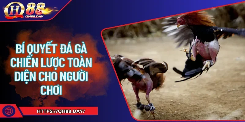 bí quyết đá gà
