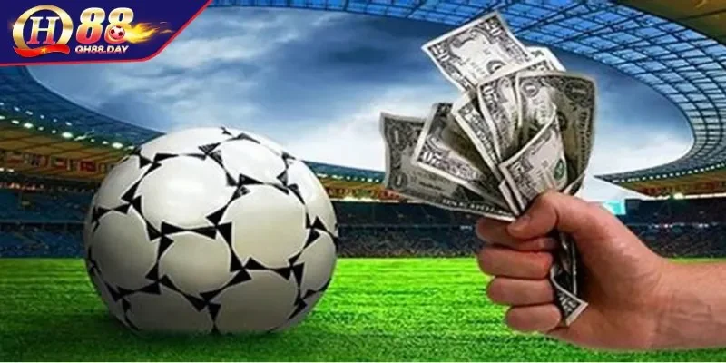 Phân tích các loại để trải nghiệm