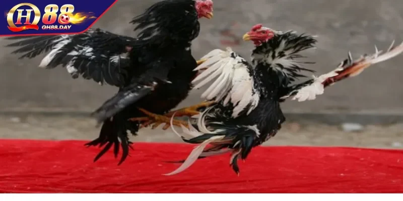 Quy trình ra nghệ đúng cách cho người mới